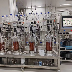 Bioreactor de vidrio Lactobacillus