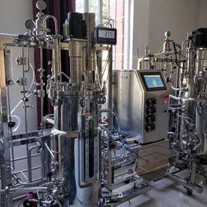 Bioreactor Lactobacillus Fermentor