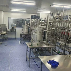 Bioreactores microbianos Fermentador de vacunas (GMP)