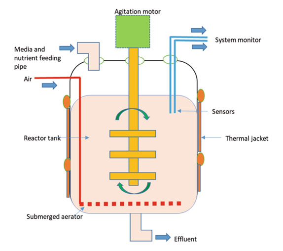 Industrial Bioreactor Fermenters in Sustainable Bio-Manufacturing