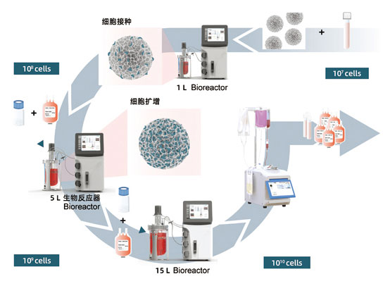 Vaccine Manufacturing