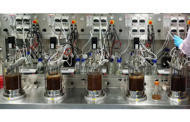 parallel bioreactor