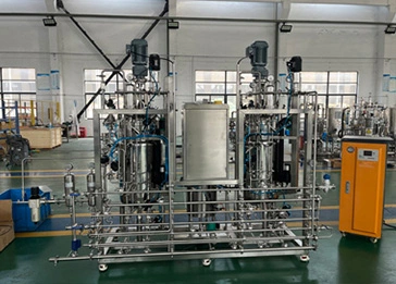 100L-100L Biorreactor Fermtner Turquía