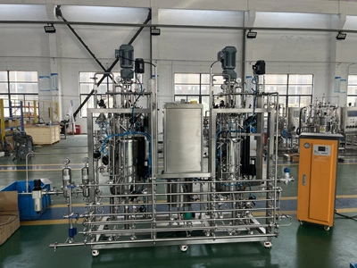 100L-100L Biorreactor Fermtner Turquía