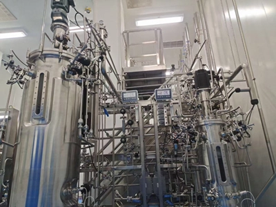 Bioreactor 500L Fermtner