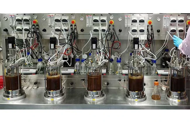 cho cell bioreactor